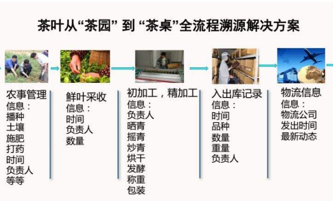 茶叶加工流程溯源系统