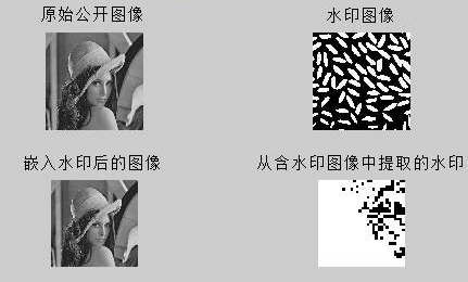 合同数字水印防伪系统