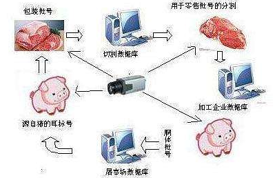 生猪溯源管理系统软件