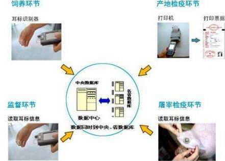 rfid生猪养殖追溯管理系统软件