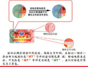 酒类防伪码系统